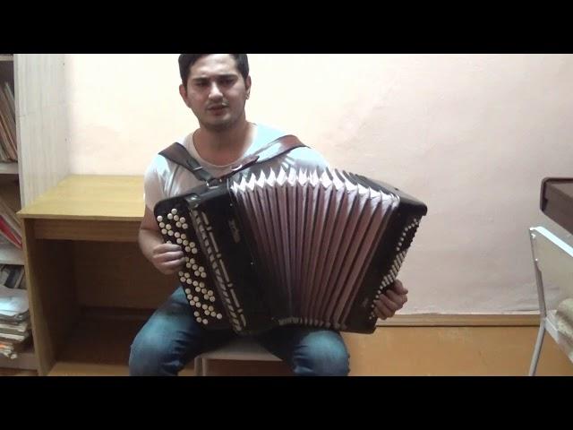 Accordion Imagine Dragons - Believer cover на баяне