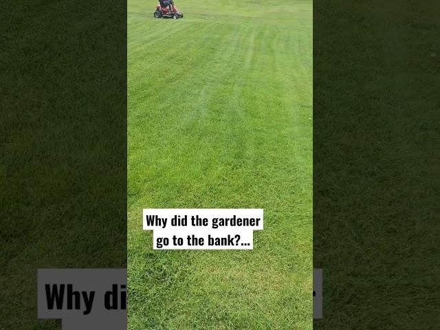why did the gardener go to the bank? #shorts #lawncare #weedcontrol #greengrass