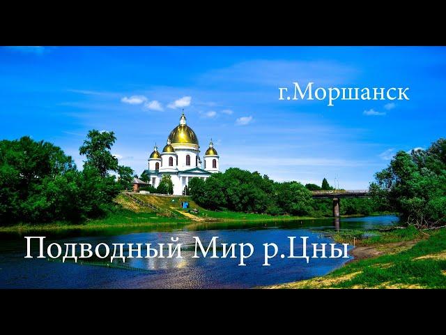 Подводный Мир реки Цны, г.Моршанск, Тамбовская область