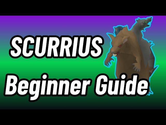 Scurrius, The Rat King ~ OSRS Beginner Guide