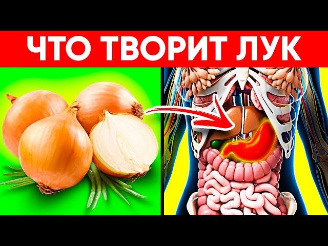 Врачи Уминают За Обе Щеки! Вот Что Творит Обычный Лук! Реальная Польза и Вред Репчатого Лука