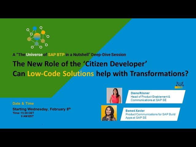 The New Role of the 'Citizen Developer' - Can Low-Code Solutions help with Transformations?
