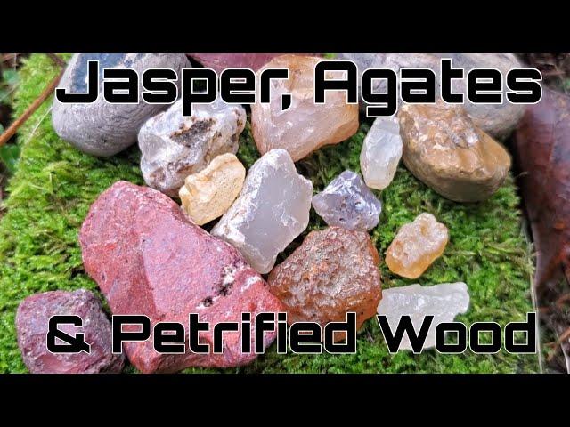 Rockhounding Oregon | Finding Jasper, Agates & Petrified Wood!