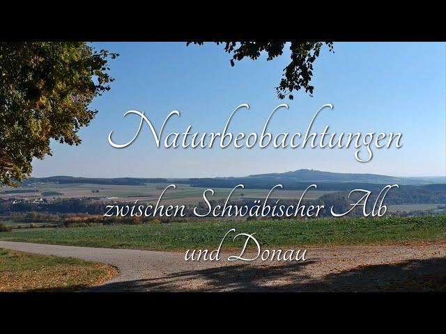 Naturbeobachtungen zwischen Schwäbischer Alb und Donau