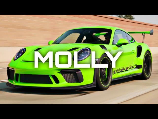 Tyga Type Beat 2024 - "Molly" | Club Banger Type Beat | Rap/Trap Instrumental