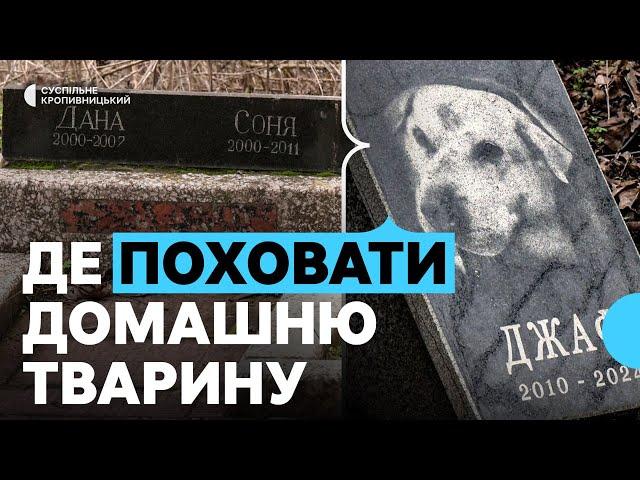 "Поховання під кущем – не вихід". У Кропивницькому немає офіційної ділянки або кладовища для тварин