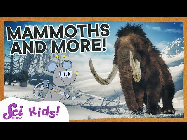 Woolly Mammoths, Mastodons, and Amazing Teeth! | SciShow Kids