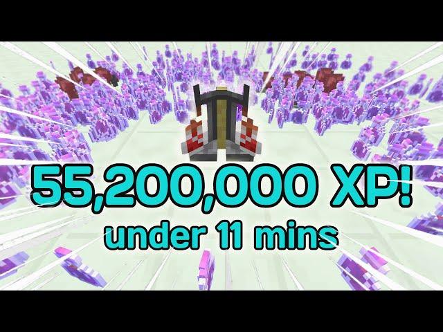 I Got Alchemy 50 In Under 11 Minutes (Speedrun) | Hypixel Skyblock