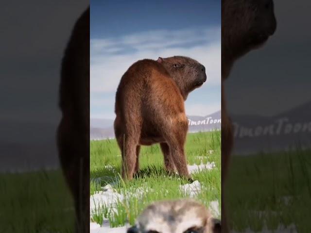 CAPIVARA! 