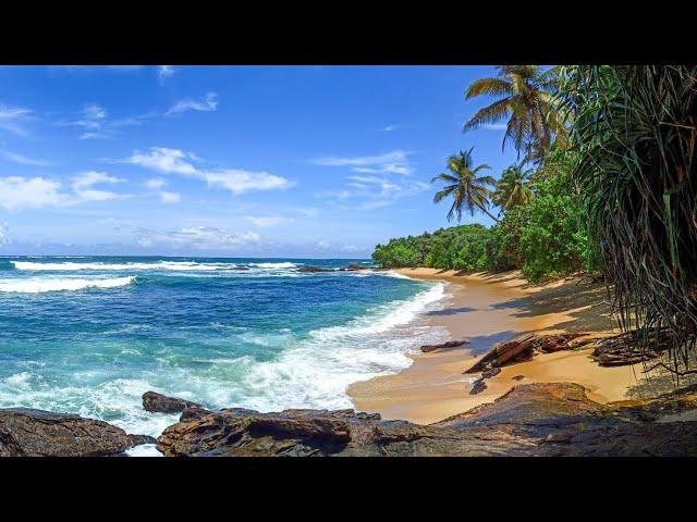 JUNGLE & PARADISE BEACH - best beaches near Tangalle, Sri Lanka for relaxation