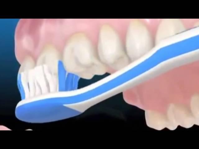 Советы стоматолога. Как правильно чистить зубы.
