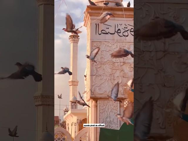 THE Most Relax and Beautyfull  Scene In The World