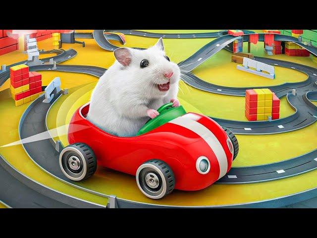 DIY Rainbow Hamster Maze with Colorful Pop It | Hamster Escapes in Real Life #19