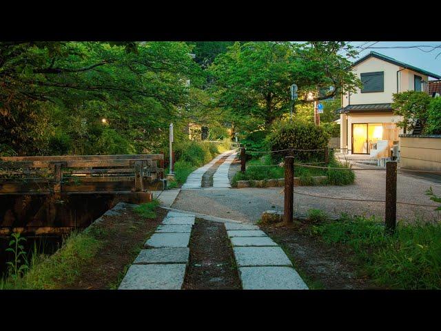 Quiet Dawn Walk along Philosopher's Path | Kyoto, Japan 4K Morning Ambience