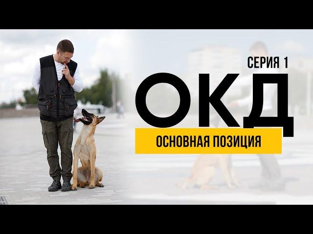 ОКД. Основная позиция. Серия 1