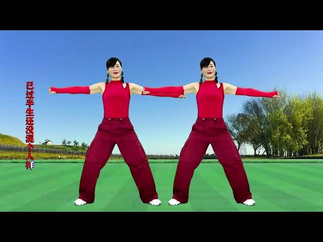 广场舞《已过半生》DJ版，动感好看！