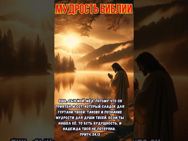 Мудрость Библии, цитаты которые учат-Мудрость для души твоей #библия
