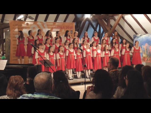 choir Dunavski valni - За да има песен ; Sanctus (part 1)