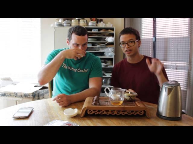 TeaDB Q&A #2 – Pu'erh Questions