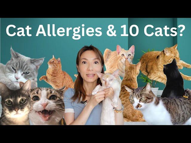 Best Cat Allergy Treatment Journey Ever! (Must Watch)