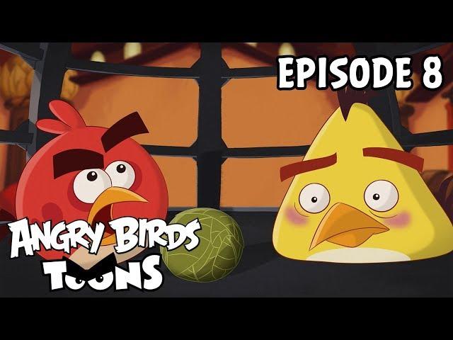 Angry Birds Toons | Miracle of Life - S2 Ep8