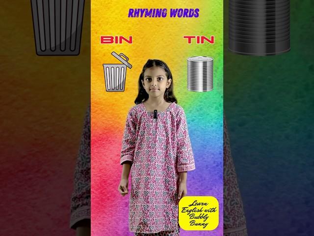 Rhyming Words - BIN & TIN