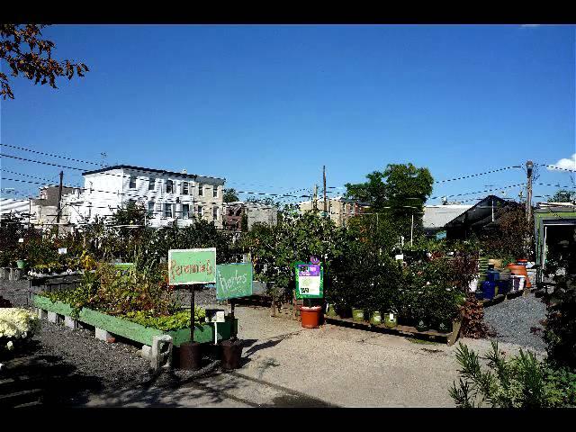 Grensgrow Farm, Philadelphia