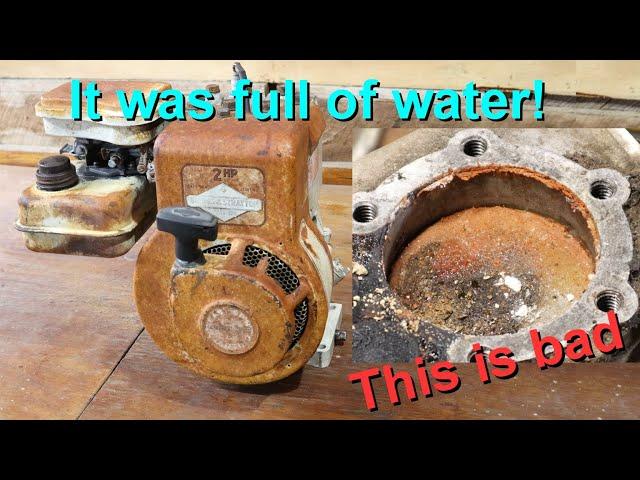 1968 Briggs and Stratton 2hp horizontal shaft flat L head engine - complete rebuild - restoration