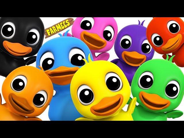 Learn Colors With Ducks | Learning colors song for Kids by Farmees