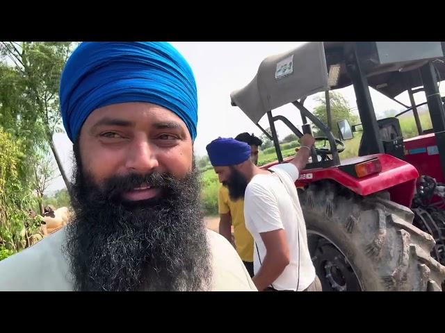 Hathi nikal gya pooch fass gyi, jimewaria sadia
