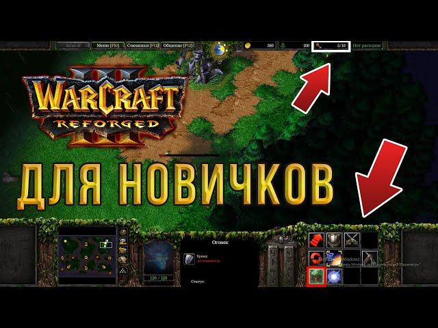 WarCraft 3: Reforged ДЛЯ НОВИЧКОВ - С ЧЕГО НАЧАТЬ?