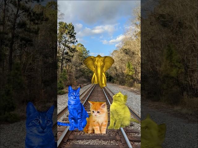 3 different colors Cute cats vs Golden Elephant & train driver tom…