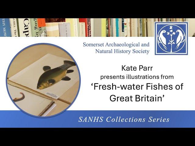 'Fresh-water Fishes of Great Britain' | SANHS Collections Series | Presented by Kate Parr