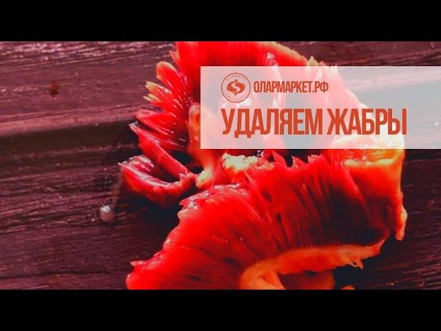 Удаляем жабры
