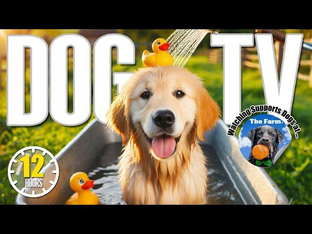 12 Hours Calming Music to Soothe Dog's Anxiety | Boredom Busting Dog Videos with Relaxing Music