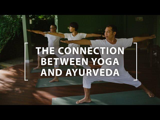 The Connection between Yoga and Ayurveda | The Ayurveda Way