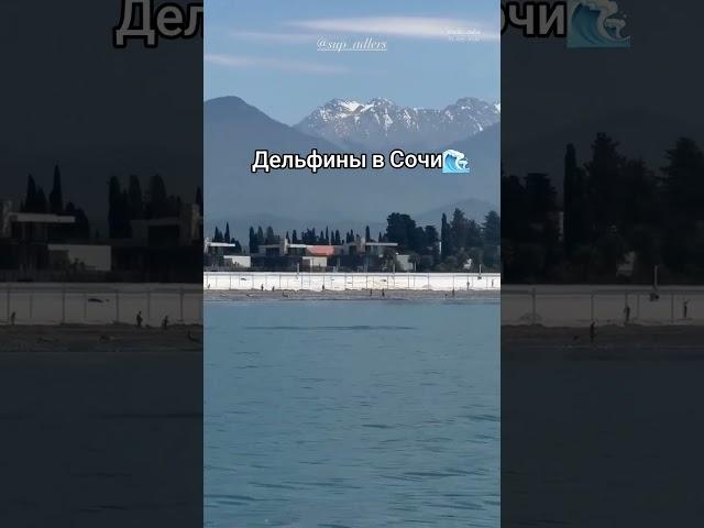 #краснодар #новости #новостирегионов #новостикраснодар #краснодар #краснодарскийкрай #сочи #анапа