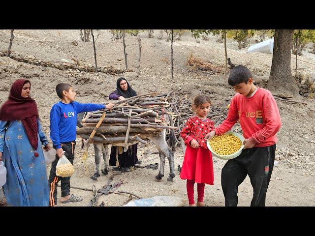 Collecting firewood in the mountains: a good day with the Haider family