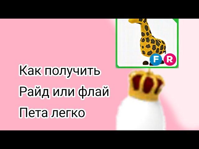 Топ 2 способа////КАК ПОЛУЧИТЬ РАЙД ИЛИ ФЛАЙ ПЕТА/// 1 часть ///