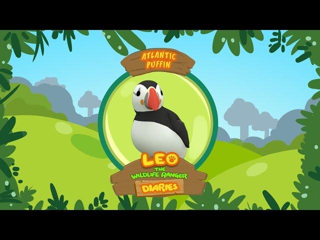 Atlantic Puffin - Leo The Wildlife Ranger Animal Diaries | Animal Facts for Kids