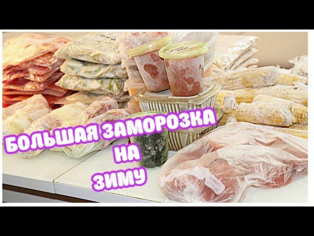 БОЛЬШАЯ Сезонная ЗАМОРОЗКА! Что я Заготавливаю и как Храню