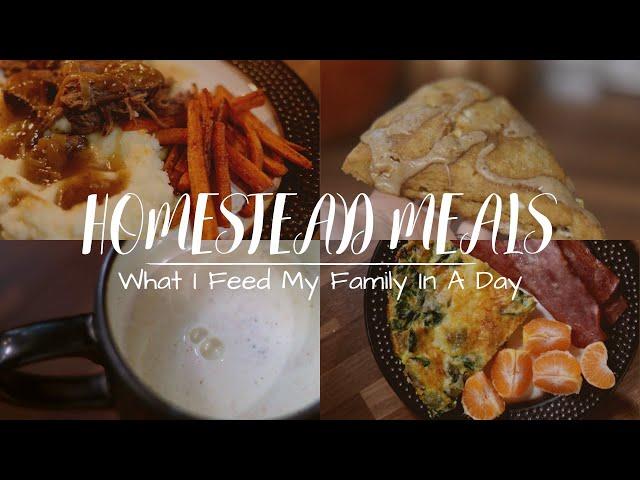 What I Feed My Family in a Day on the Homestead | From Scratch Meals