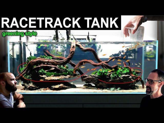 MASTERCLASS!! How To: Natural Aquarium "Greening" Technique (ADG Style)