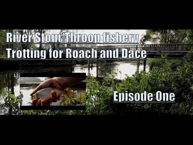 Throop fishery - River Stour | Trotting for Roach and Dace