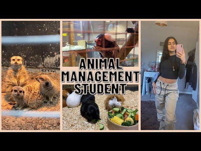 Week in the life of an animal management student | vlog