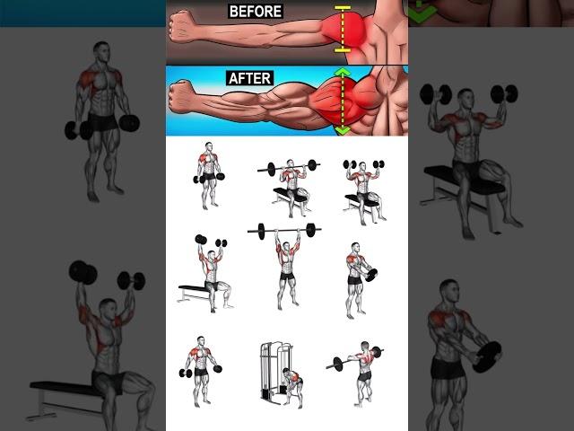 Ultimate Shoulder Workout: Only Dumbbells Needed for Massive Gains!