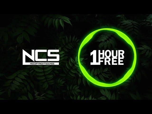 T-Mass - Ignoring My Heart [NCS 1 HOUR]