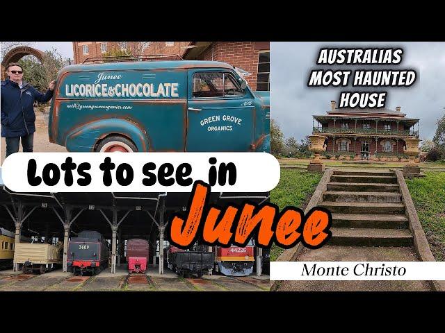 JUNEE - So much to See.  WE SHOW YOU ALL !!!