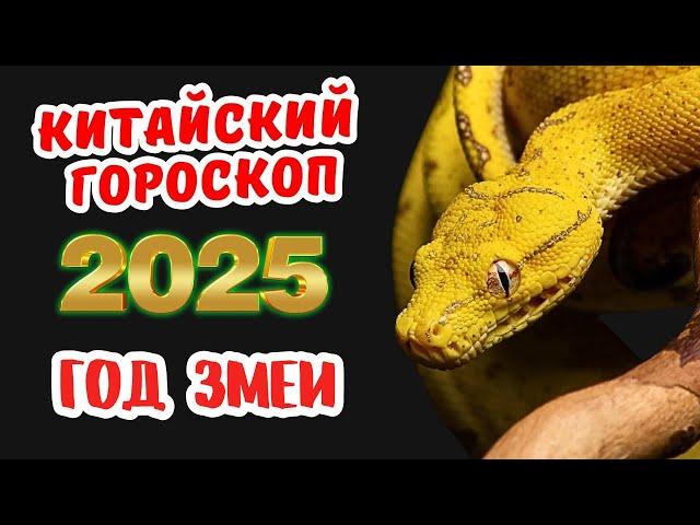 Китайский гороскоп на 2025 год по году рождения