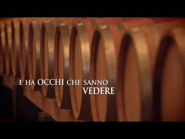 Wineverse vendita vini online | Vini italiani pregiati di vantine emergenti